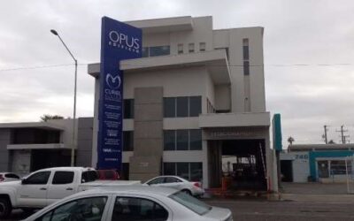 Opus